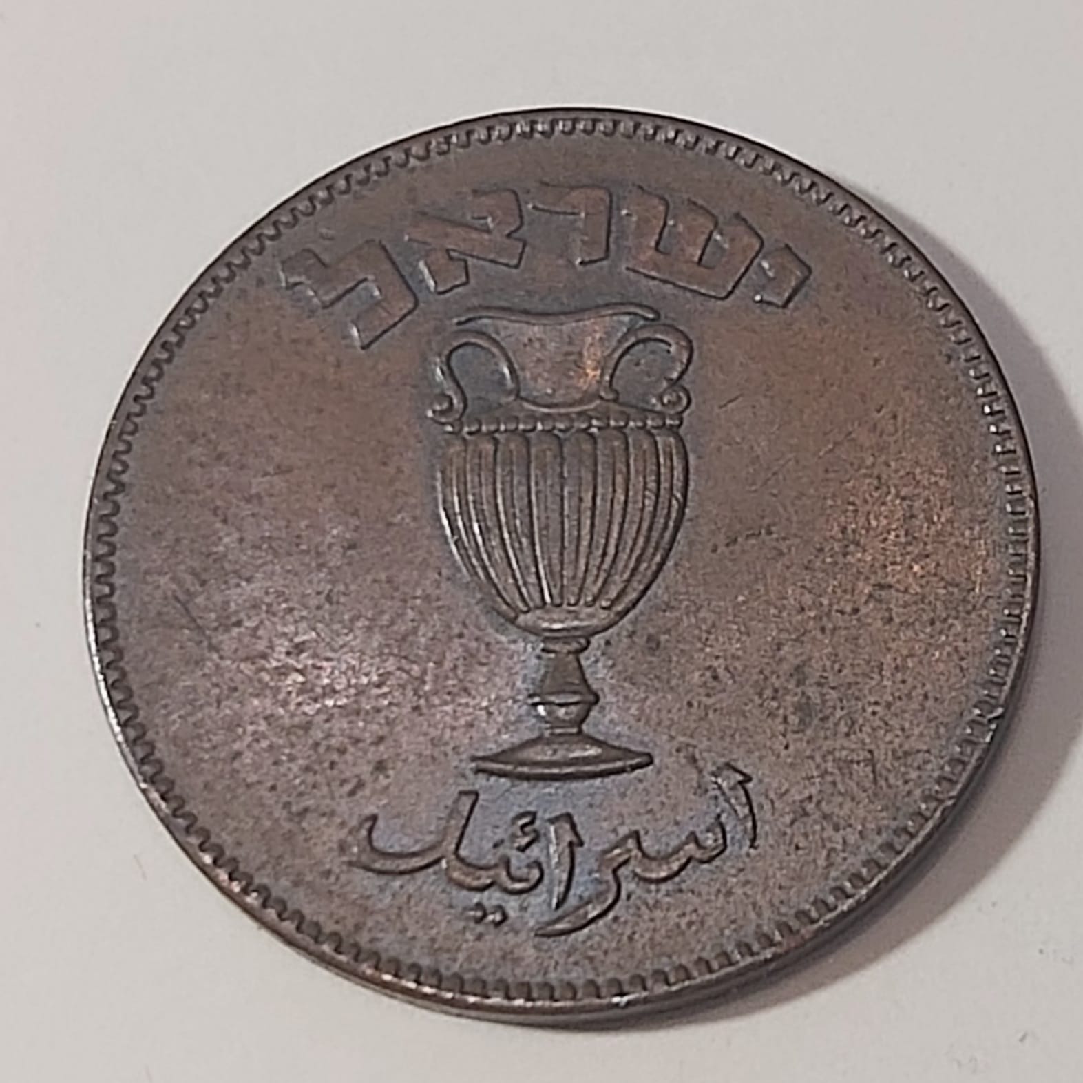 primary image