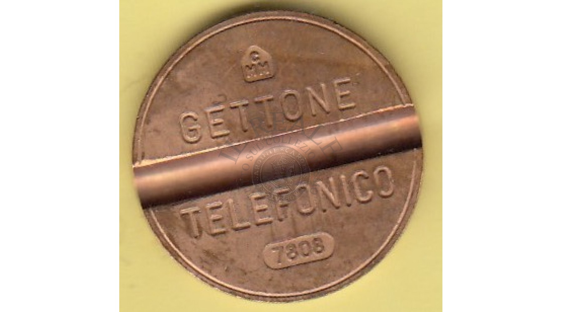 primary image