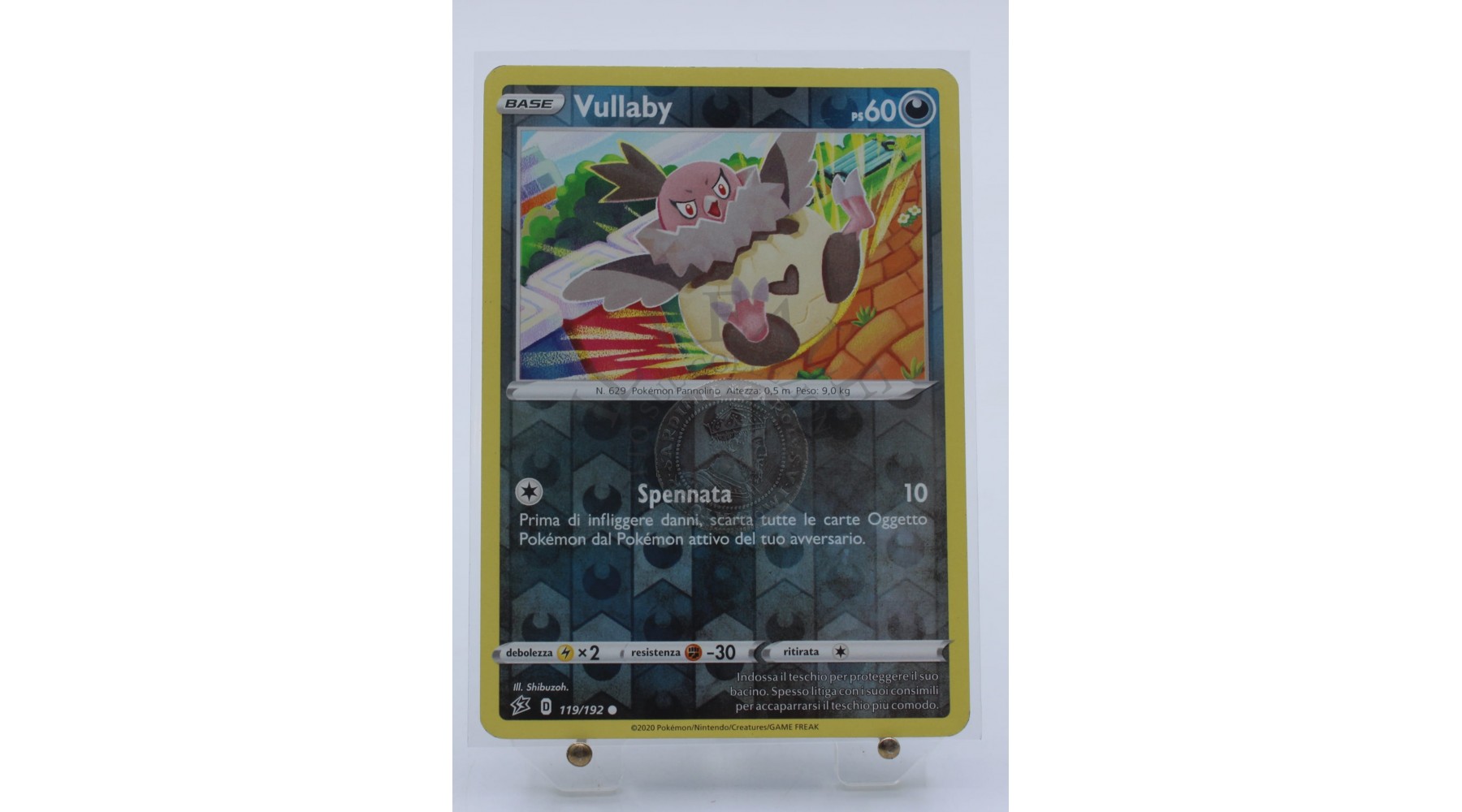 primary image